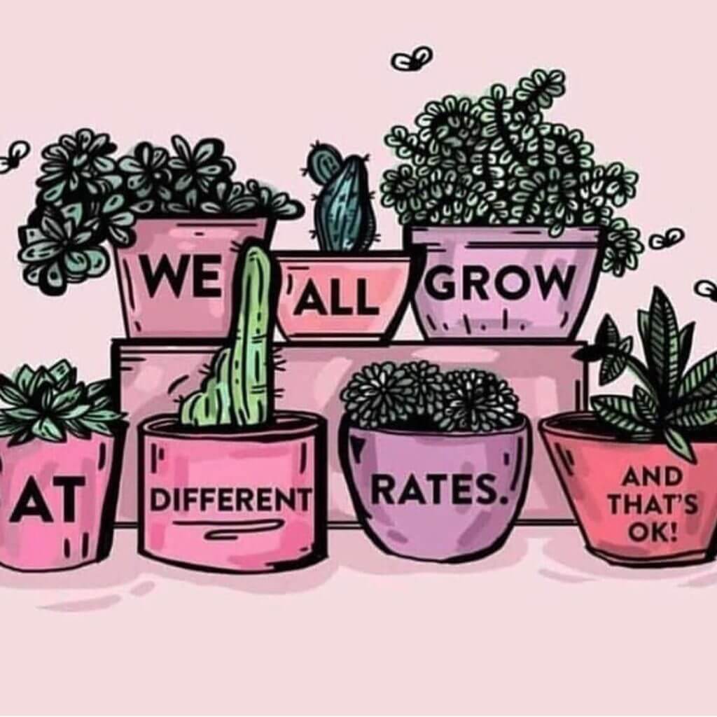 New Year and New Garden Plans