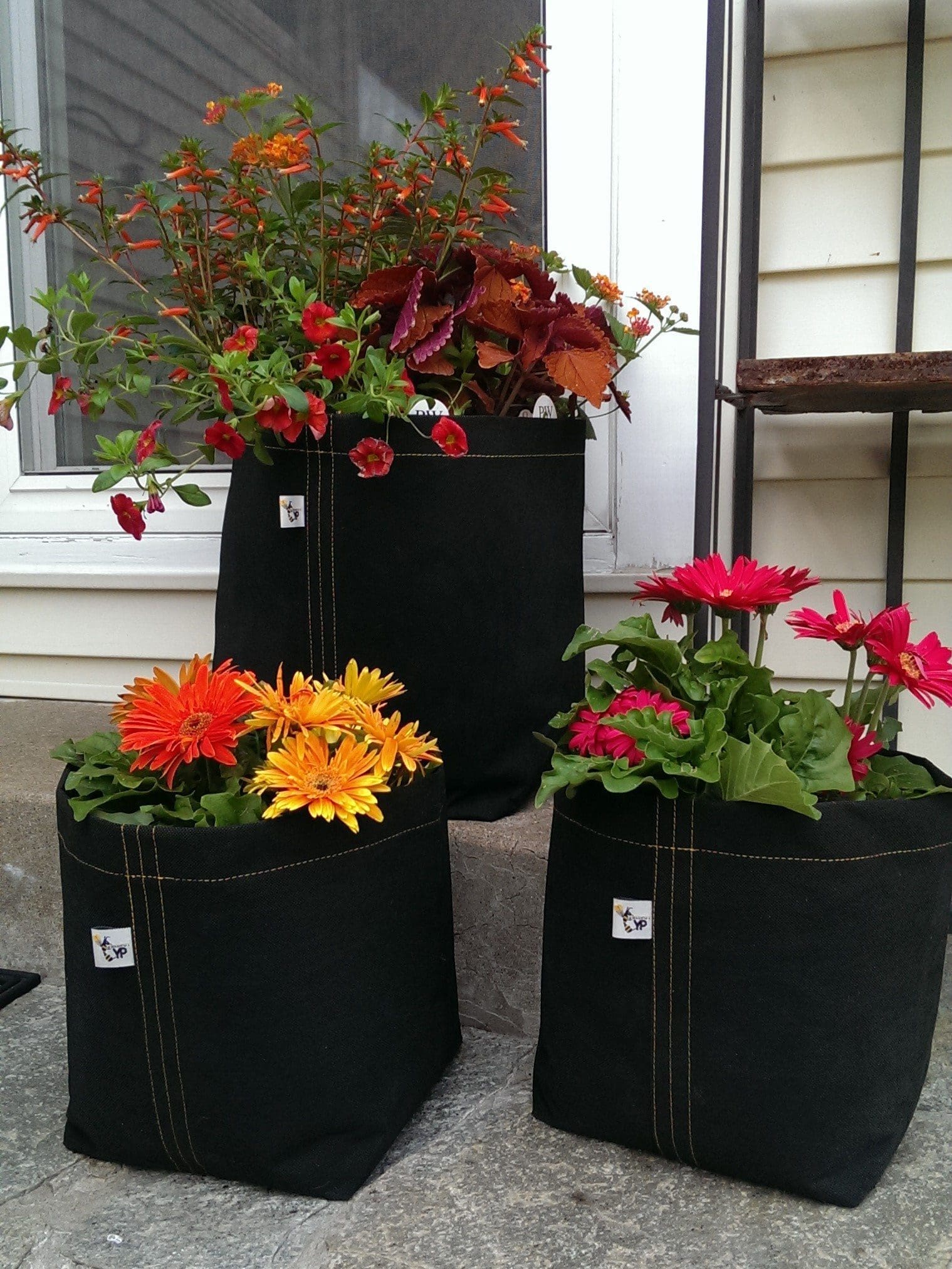 august garden roundup tips