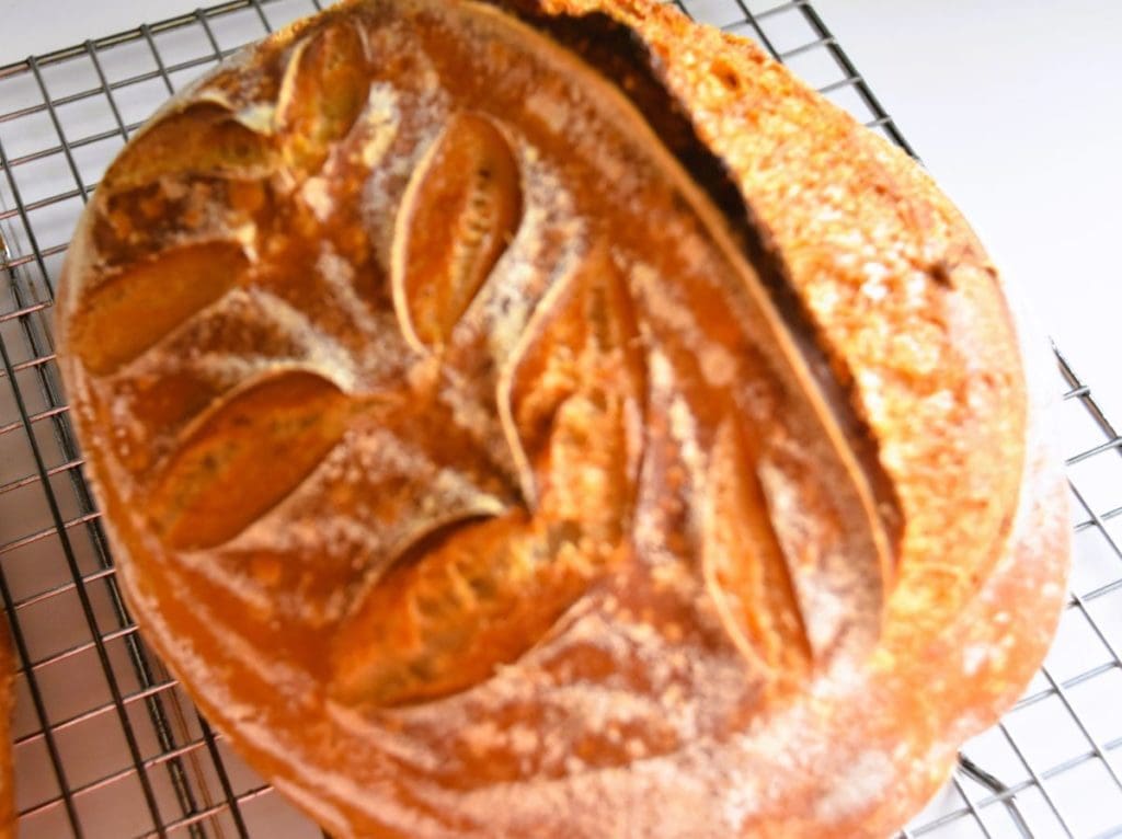 fresh easy comfort food