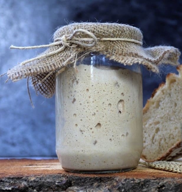 Keep Sourdough Starters Happy All Summer Long
